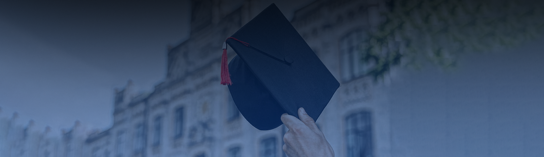 Best Immigration Consultants in Kochi for Ireland Immigration Agency in Kochi Overseas Education Consultants in Kochi Canada Immigration Consultants in Kochi